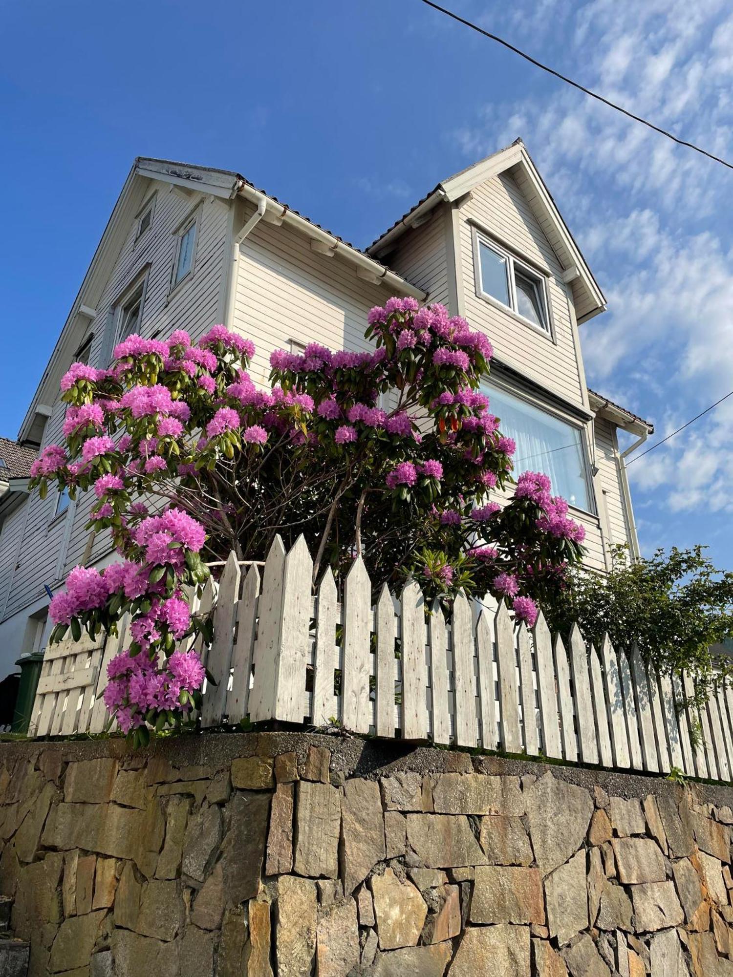 Gate 1 Bnb, 177 House Nr, Maloy Bed & Breakfast ภายนอก รูปภาพ